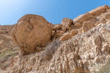 İsrail 'in güneyindeki Ein Gedi Milli Parkı Ölü Deniz' in yanında.