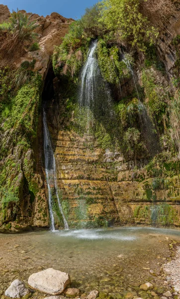 Ein Gedi Uluslar Parkı 'ndaki şelale İsrail' de Ölü Deniz 'e yakın.