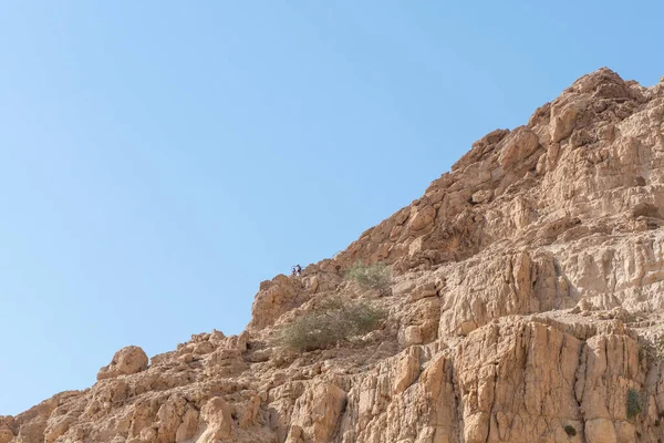 Люди Ходять Мальовничому Національному Парку Ейн Ґеді Півдні Ізраїлю Поблизу — стокове фото