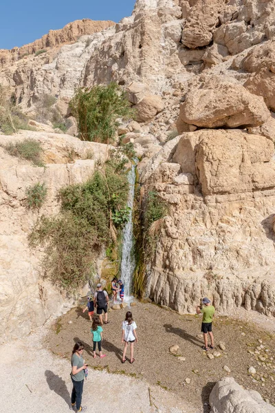 Gente Caminando Hermoso Pintoresco Parque Nacional Ein Gedi Sur Israel — Foto de Stock
