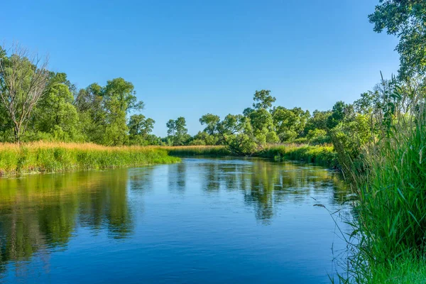 Ottertail River Beautiful Sunny Summer Day Rural Minnesota Usa Nice Stock Image