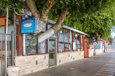 Tiberias 'ta İsrail' deki Celile Denizi 'nin yanında yetişen iki ağacın etrafına inşa edilen restoran.