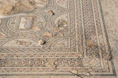 İsrail 'deki Tzipori Milli Parkı' nda pazar olarak kullanılan büyük kamu binasının mozaik tabanı.