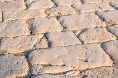 Ana cadde, İsrail 'deki Tzipori Milli Parkı' nda at arabasının tekerleklerinin izlerinden oluşan kaldırım taşından yapılmış Cardo.