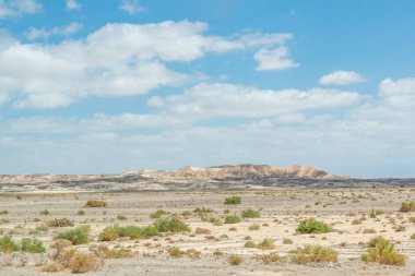 Güney İsrail 'deki Negev Çölü' nün güzel manzarası 