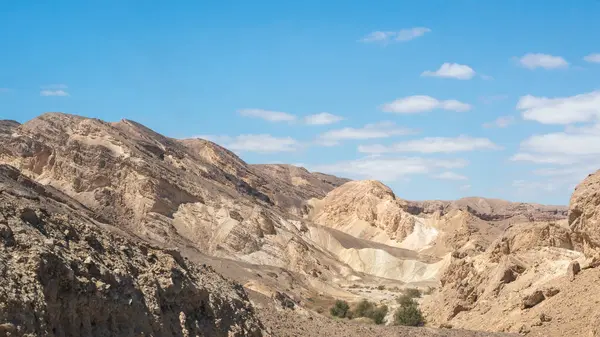 Hermoso Paisaje Del Desierto Del Negev Sur Israel — Foto de Stock