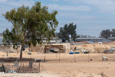 İsrail 'in güneyindeki Negev Çölü' ndeki ilkel Bedevi konutları ve hayvanları.
