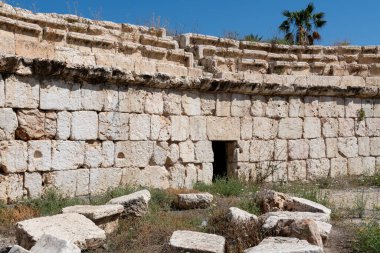 Beit Shean İsrail 'deki Beit Shean Ulusal Parkı' nda Hipodrom 'a oturma.