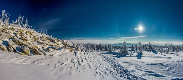 Winter and sun — Stock Photo, Image