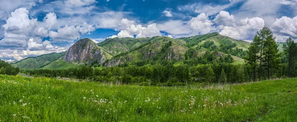 Sommertag — Stockfoto