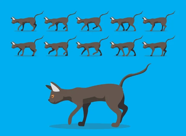 Séquence Animation Animale Peterbald Cartoon Vector — Image vectorielle