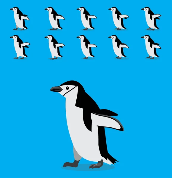 Secuencia Animación Animal Chinstrap Penguin Cartoon Vector — Vector de stock