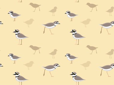 Kuş Sürgüsü Duvar Kağıdı Çizgifilmi Kusursuz Desen