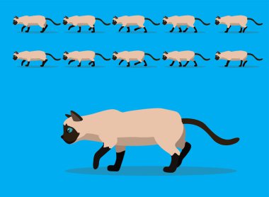 Hayvan Animasyon Dizisi Siyam Tonkinez Kedi Çizgi Filmi Vektörü