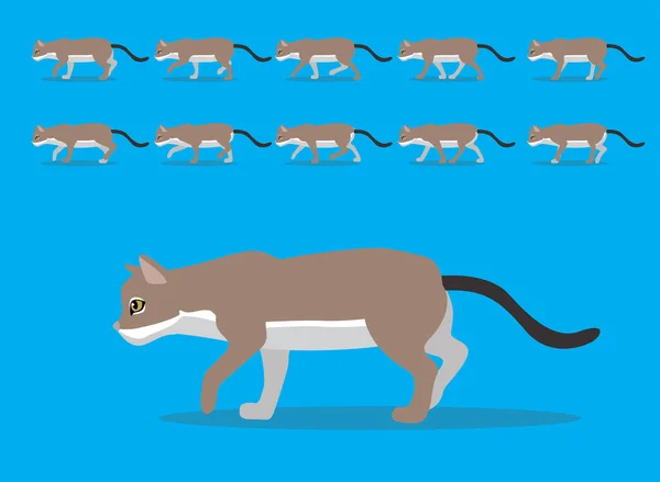 Animal Animation Sequence Singapura Cat Cartoon Vector — Stock Vector