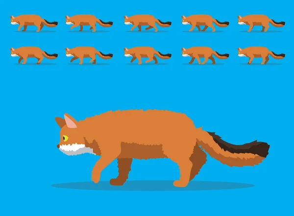 Αλληλουχία Ζωϊκών Κινουμένων Σχεδίων Cat Somali Cartoon Vector — Διανυσματικό Αρχείο