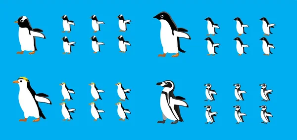 Dieren Animatie Sequentie Chinstrap Adelie Royal Penguin Cartoon Vector — Stockvector
