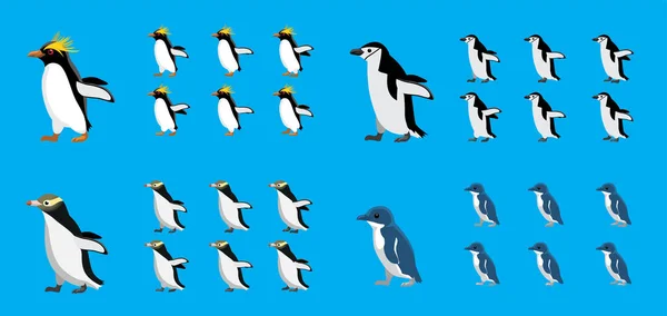 Sekwencja Animacji Zwierząt Makaron Chinstrap Żółty Little Penguin Wektor Kreskówki — Wektor stockowy