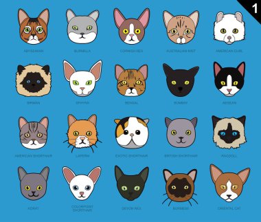 Kedi Simgeye Yüzleşir Çizgi Film 1 Vuruşu