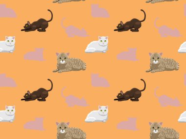 Kedi Duvar Kağıdı 16 Arkaplan Karakteri