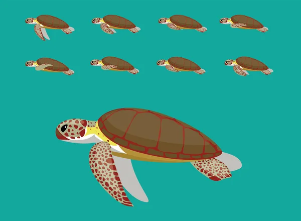 Animal Animation Sequence Green Sea Turtle Cartoon Vector — Stock Vector