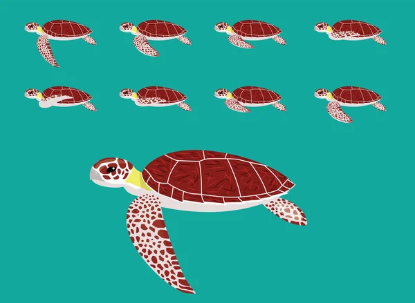 Séquence Animation Animale Hawksbill Sea Turtle Cartoon Vector — Image vectorielle