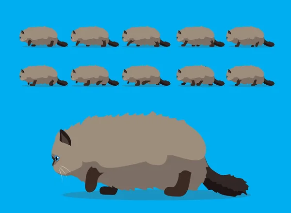 Animal Animation Sequence Cat Persian Cartoon Vector — 스톡 벡터