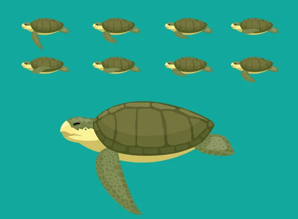 Animation Sequence Kemp Ridley Cartoon Vector — Stock vektor