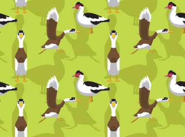 Duck Indian Runner Çizgi Filmi Kusursuz Duvar Kağıdı