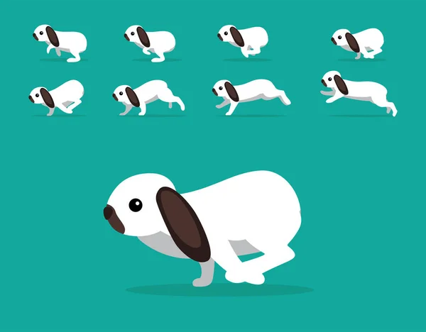 Animal Animation Sequence Rabbit Holland Lop Cartoon Vector — Archivo Imágenes Vectoriales