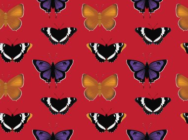 Kelebek Amiral Hairstreak Kusursuz Duvar Kağıdı