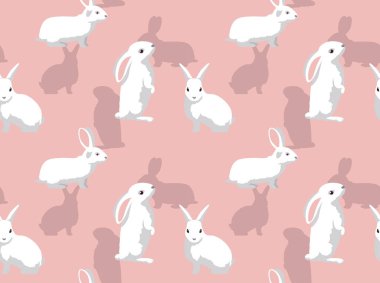 Tavşan Florida Beyaz Arkaplan Kusursuz Duvar Kağıdı