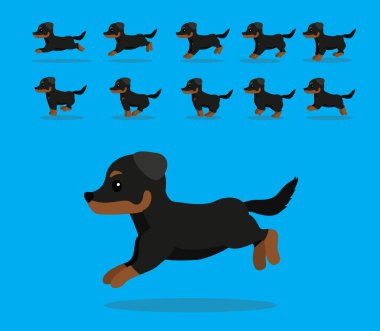 Hayvan Animasyon Dizisi Köpek Beauceron Çizgi Film Vektörü