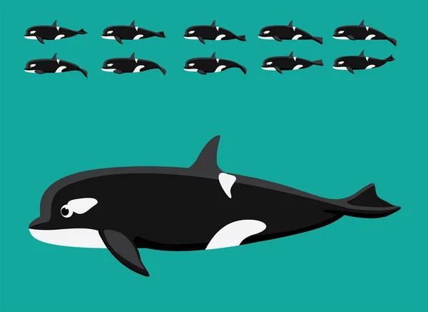 Animal Animation Orca Cartoon Vector Sequence Frame — Stock Vector