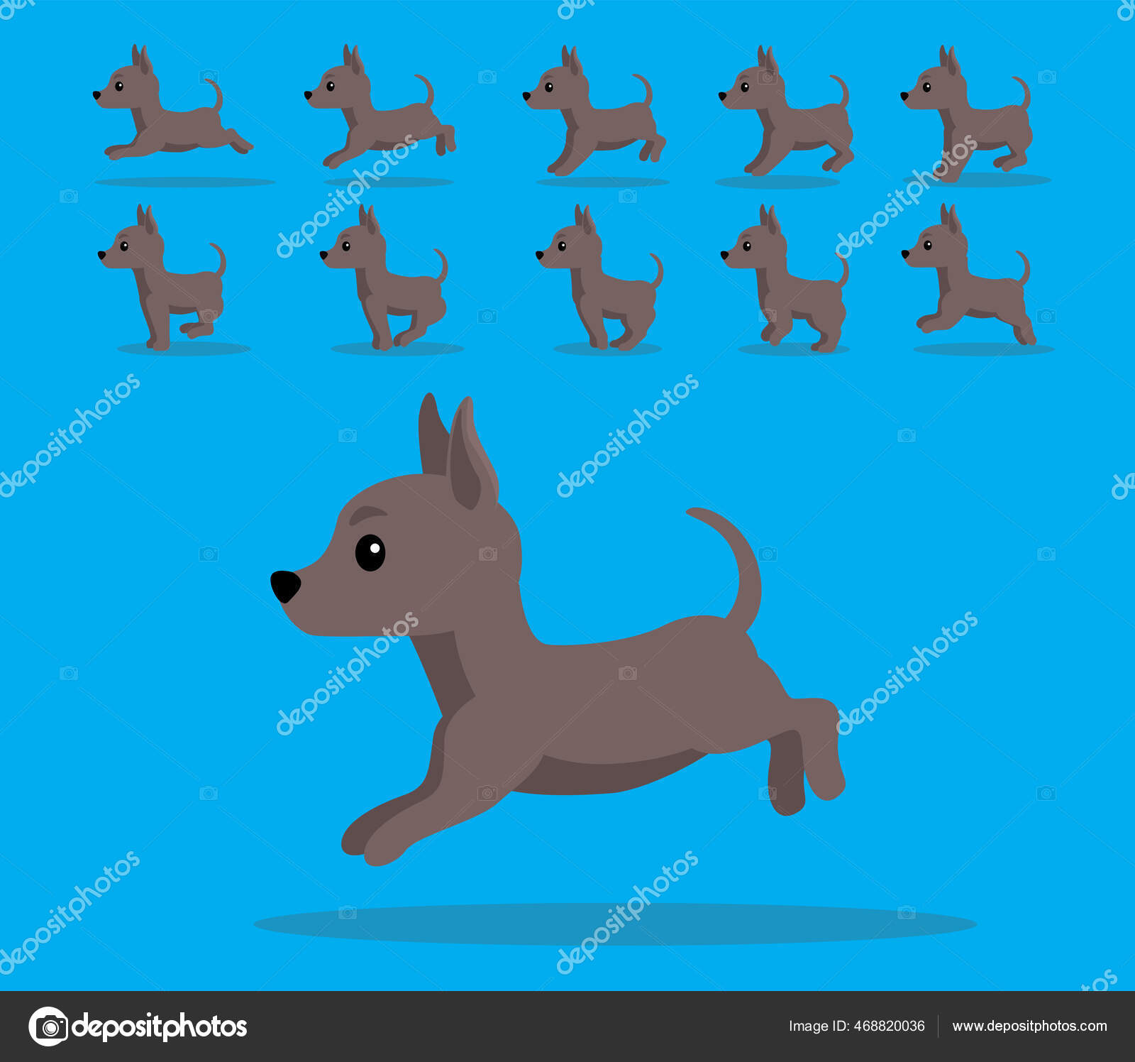 Xoloitzcuintle Vector Art Stock Images | Depositphotos