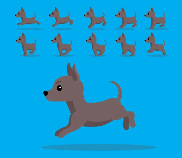 Animation Animale Séquence Chien Xoloitzcuintle Cartoon Vector — Image vectorielle