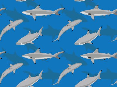 Blacktip Köpekbalığı Arkaplanı Kusursuz Duvar Kağıdı