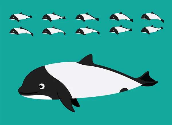 Animal Animation Commerson Dolphin Cartoon Vector Sequence Frame — Stock Vector