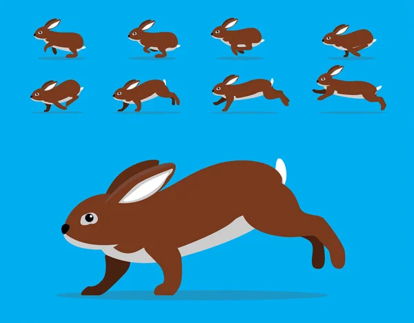 Animación Animal Secuencia Conejo Belga Liebre Dibujos Animados Vector — Vector de stock