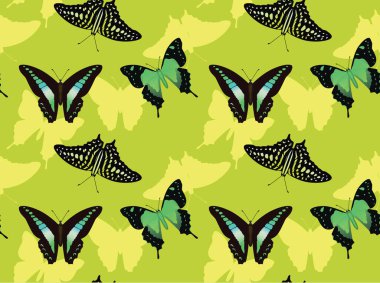 Kelebek Grafik Arkaplanını Kusursuz Duvar Kağıdı Ayarla