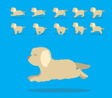 Hayvan Animasyon Sıralaması Köpek Spinone İtalyan Çizgi Film Vektörü