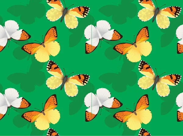 Great Orangetip Cartoon Background Seamless Wallpaper — 스톡 벡터