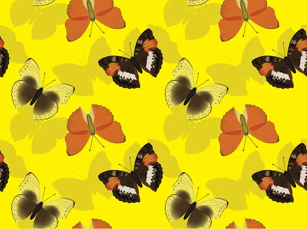 Fondo Pantalla Sin Costuras Conjunto Mariposas Cymothoe — Vector de stock