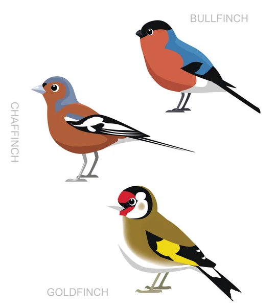 Bird Finch Set Cartoon Vector Ilustração — Vetor de Stock