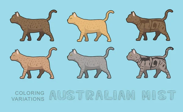 Katt Australian Mist Färgvariationer Vektor Illustration — Stock vektor