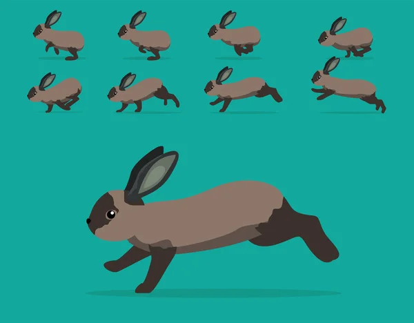 Animación Animal Secuencia Conejo American Sable Vector Dibujos Animados — Vector de stock