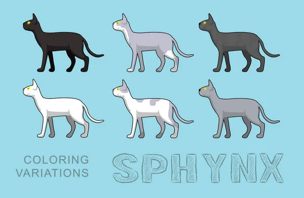 Cat Sphynx Coloring Variations Vector Illustration — 스톡 벡터