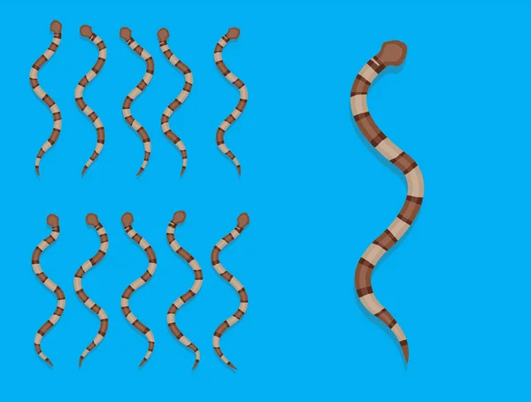 Animace Zvířat Sekvence Copperhead Snake Cartoon Vector — Stockový vektor