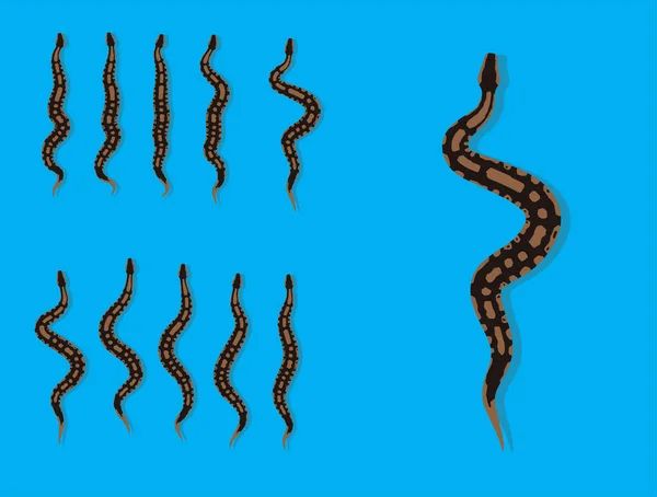 Animal Animation Sequence Royal Python Cartoon Vector — 스톡 벡터