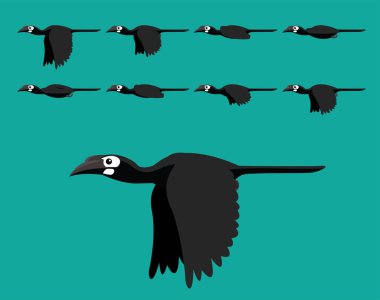 Animal Animation Sequence Bushy Crested Hornbill Flying Cartoon Vector